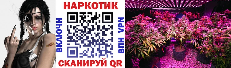 Наркошоп купить Псилоцибиновые грибы  Меф мяу мяу  APVP  ГАШ  Конопля  Артём