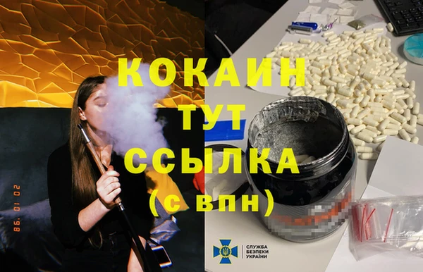спиды Белокуриха