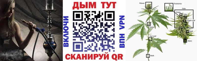 Марихуана Amnesia  Купить  Артём 
